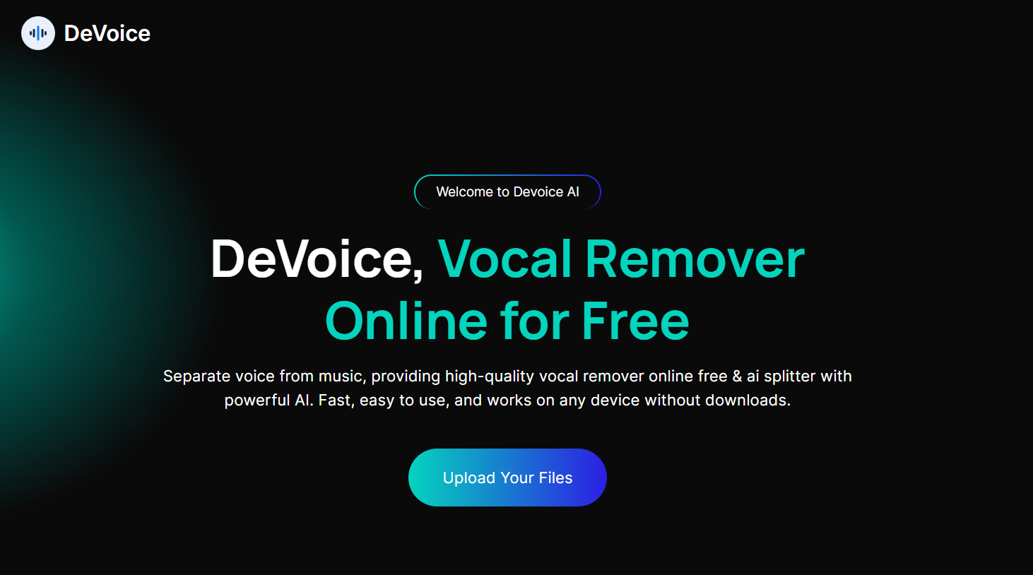 Image 2: DeVoice's homepage